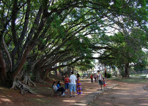 Parque Edmundo Zanoni em Atibaia