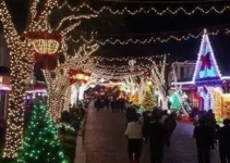 Luzes de Natal