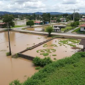 Programa Rios Vivos