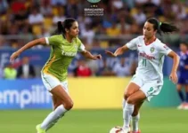 brasileiro feminino