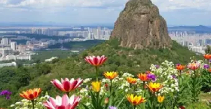 cidade a 65 km de SP