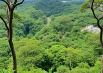 APAs PiraCantareira