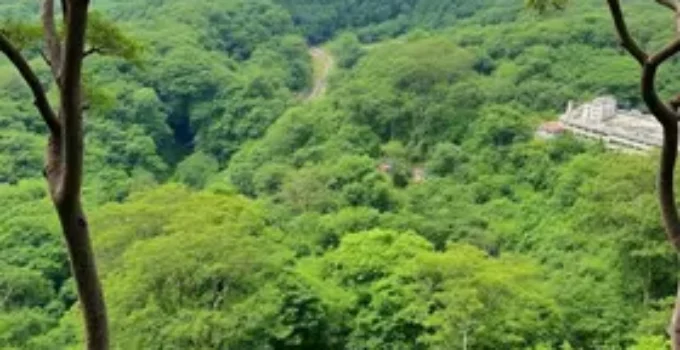APAs PiraCantareira