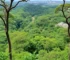 APAs PiraCantareira