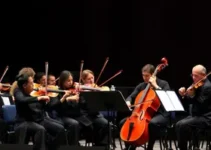 Orquestra de Viola de Atibaia