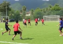 aulas esportivas de graça