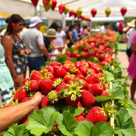 Festa do Morango de Atibaia