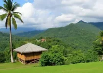 clima de verão em Atibaia