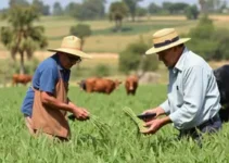 capacitação nota fiscal produtores rurais