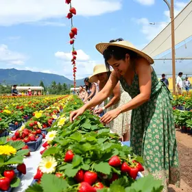 Festa de Flores e Morangos de Atibaia