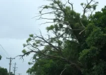 tempestade em Bragança Paulista