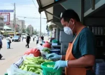 vigilância sanitária