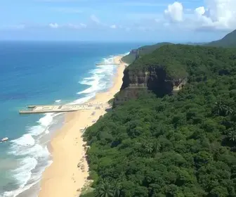 Selo Ouro TCE-SP