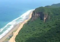 Selo Ouro TCESP