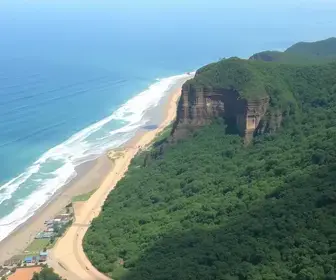 Selo Ouro TCESP